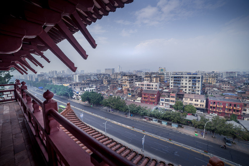 星湖冬日燃情，比落羽杉还要红的是什么？#我和湿地有个约会#