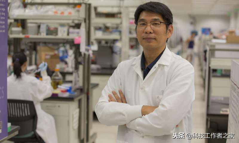 dna螺旋结构折纸教程,dna折纸视频教程