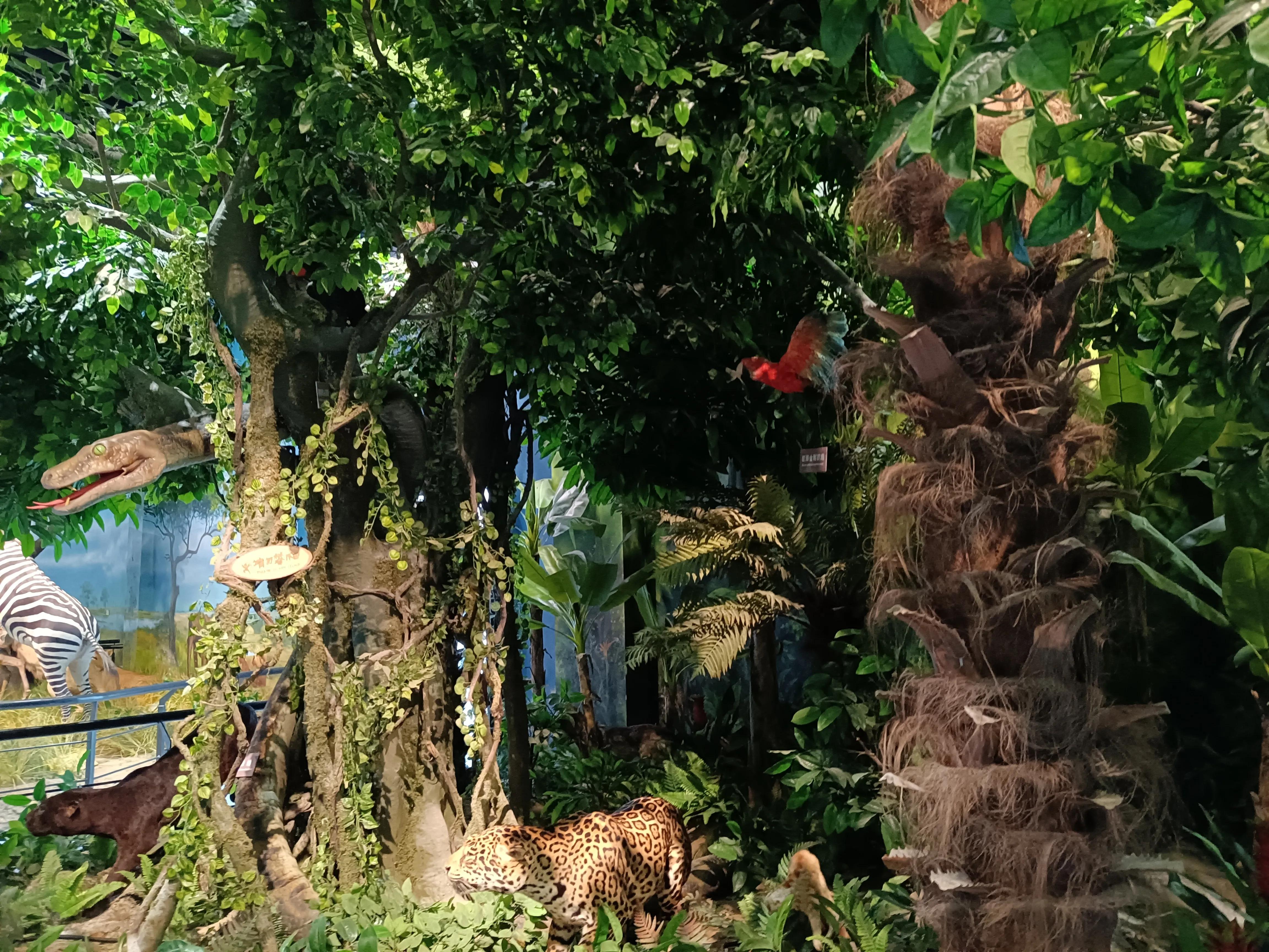 上方山森林公园作文,上方山森林公园动物世界