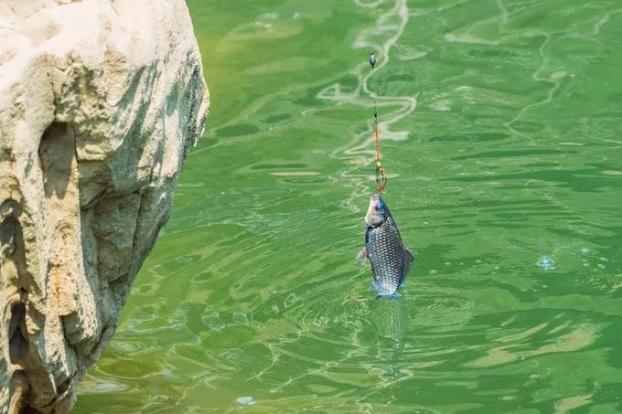 恩施，凭什么持续美哭全国，惊艳世界？