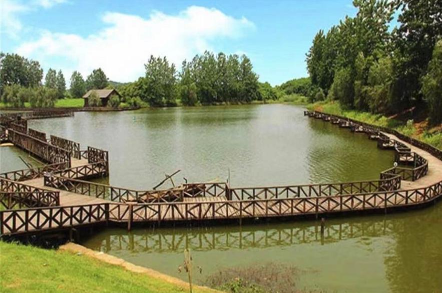 武汉最有人气的户外烧烤据点都在这了!赶紧打卡吧