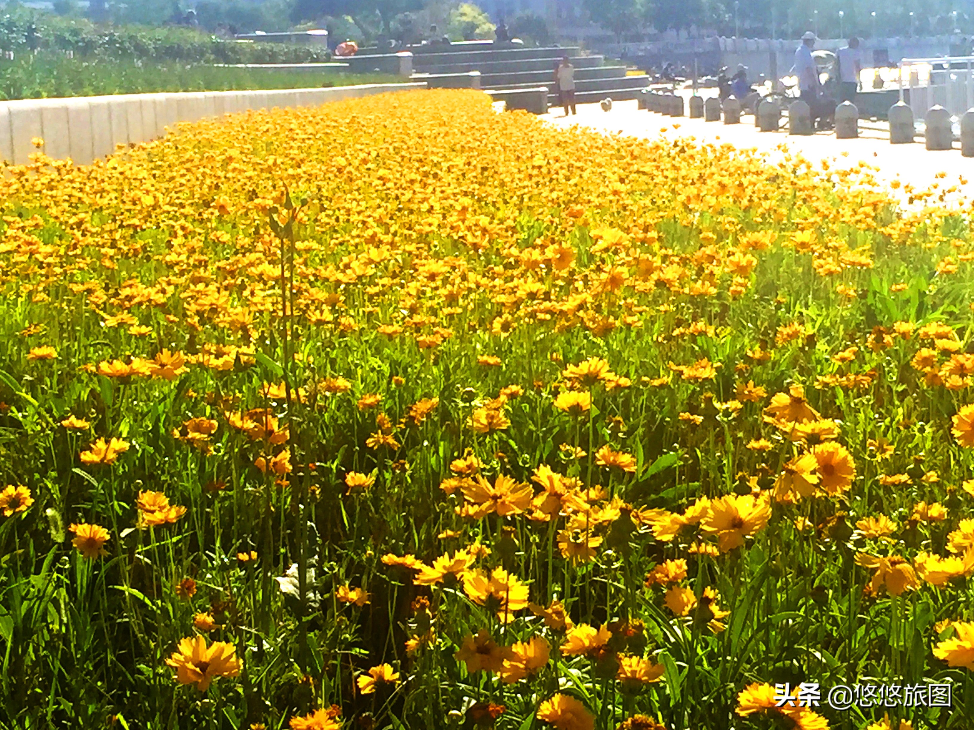 来一次说走就走的旅行女生版,来一次说走就走回老家的旅行