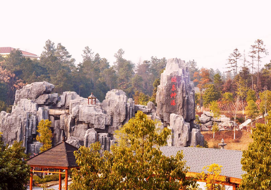 宁乡最好的镇是哪个镇,宁乡十大示范县