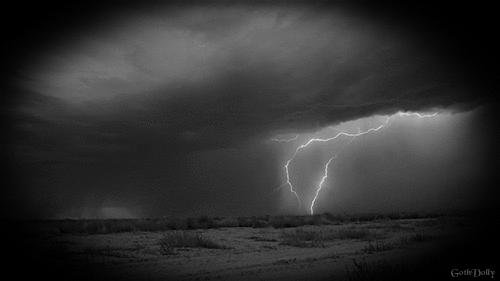 中国最完美运动员,中国最出色运动员