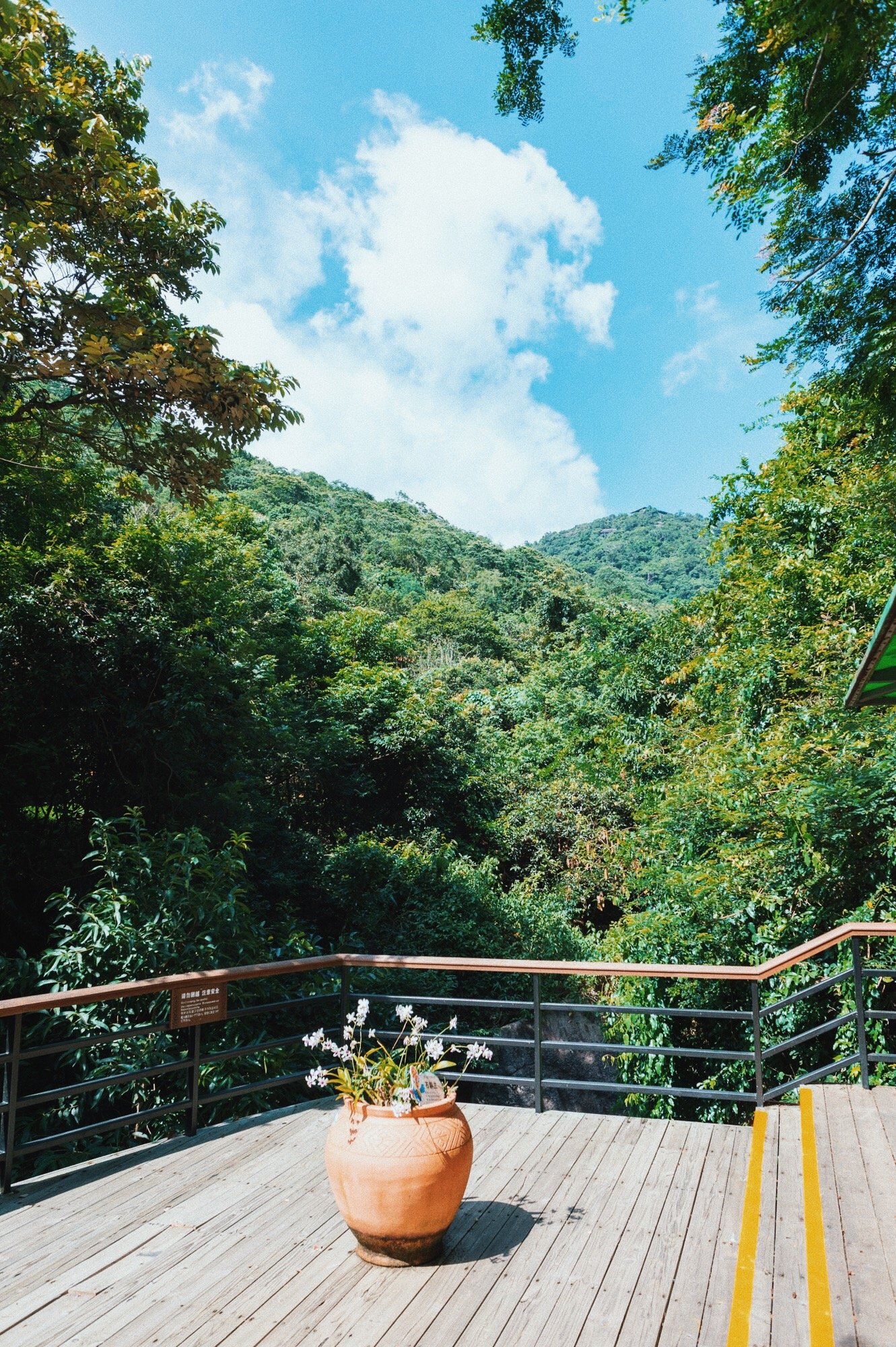 三亚地区国家级森林公园,三亚森林公园有哪些明星来过