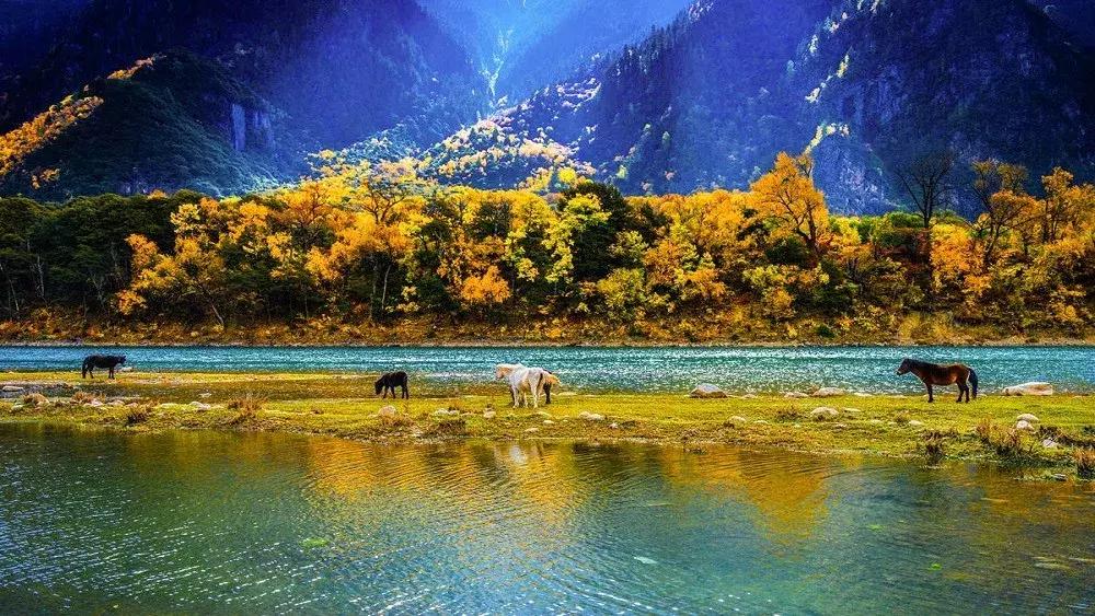 10月旅行地推荐最适合初秋出游,10月最适合慢慢旅游的地方