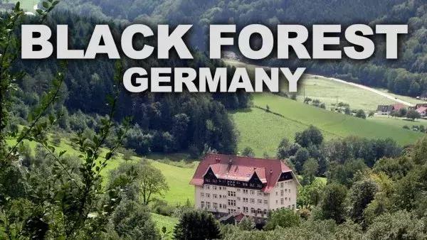 育碧高级设计师,育碧美术设计师