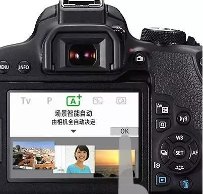 鎽勫奖鍏ラ棬浣宠兘鐩告満800d,鎽勫奖鍗曞弽鐩告満鎺ㄨ崘