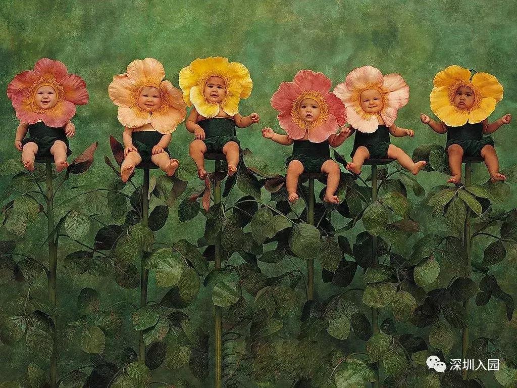 钂欐皬鐟炲悏娆у崕寰风姣旇緝,钂欐皬鐟炲悏娆у崕寰风楂樼灮