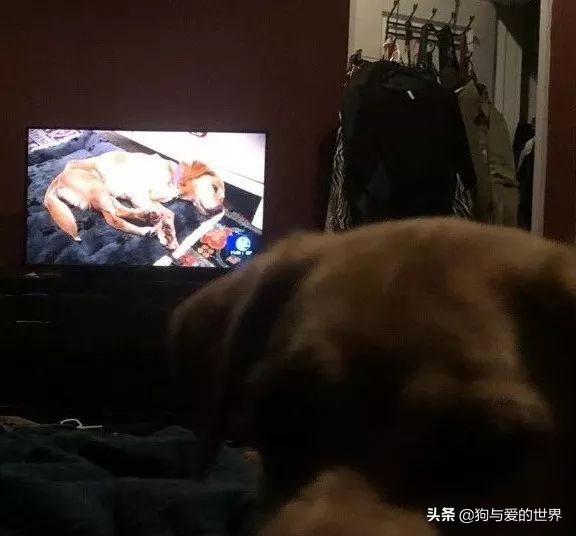 鏅氫笂瀹堕噷杩涗簡涓嶆槑鐢熺墿,鐢峰瓙鍗婂鍥炲閬囦笂涓嶆槑鐢熺墿