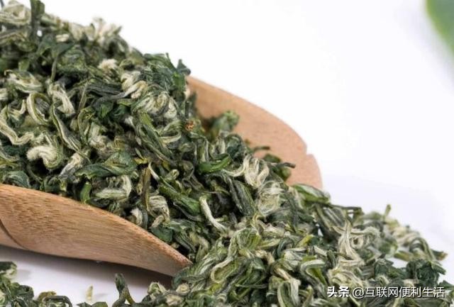 安徽名茶中被列为中国十大名茶,中国十大绿茶名茶最新排名