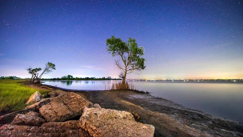 放疗局控百分百：鼻咽癌肝转移化疗联合免疫治疗失败后