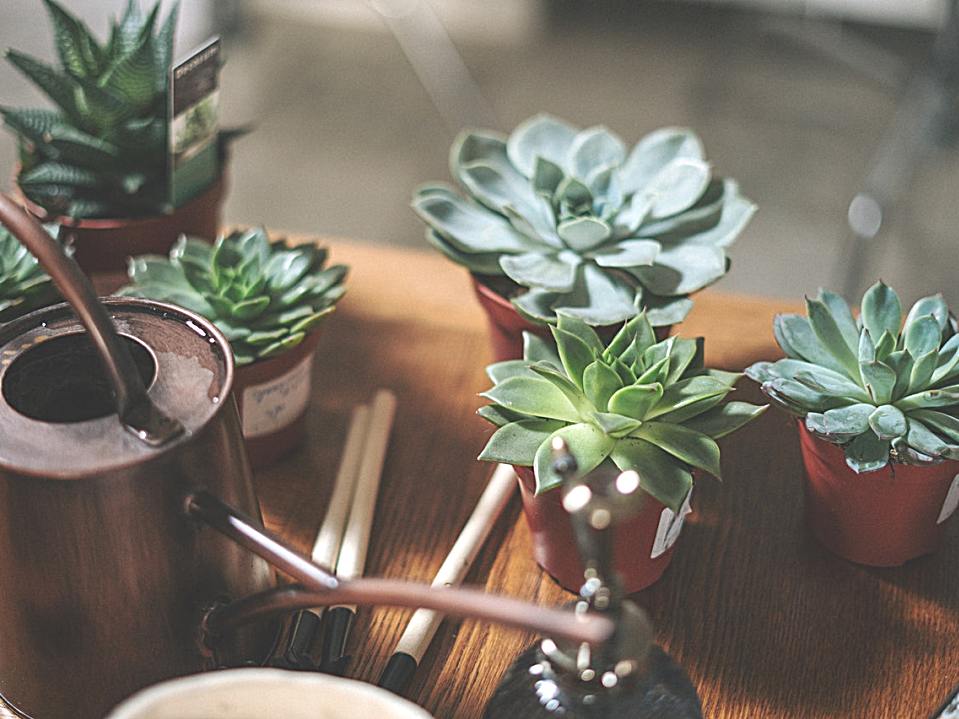 与人交往时，他常紧张到随时想逃：焦虑是因为失去了与自我的链接