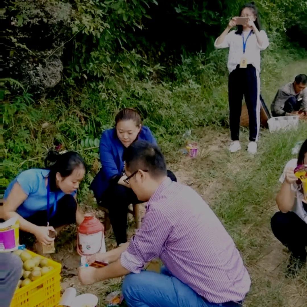 乡村创新项目快速赚钱,乡村振兴新农人创业项目有哪些