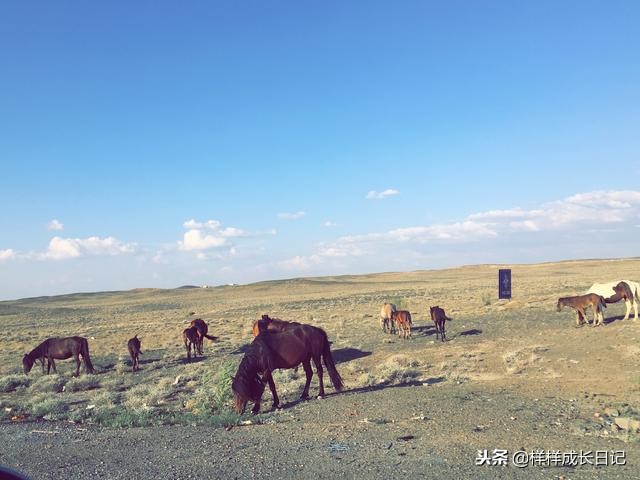 自驾都要带啥,新手自驾新疆要注意什么