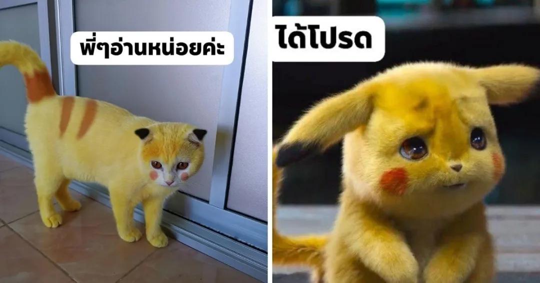 姜黄真的有减肥效果吗,姜黄和黄姜哪种是减肥的