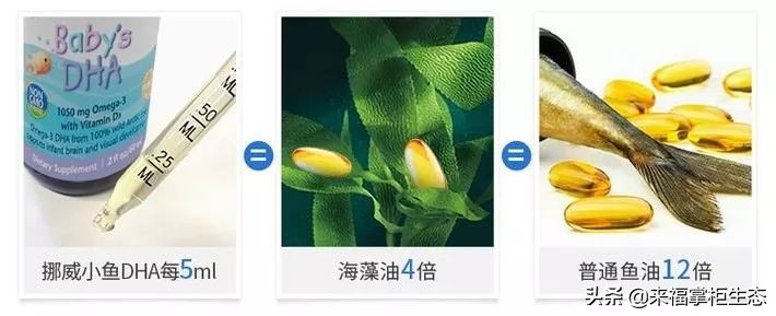 挪威小鱼深海鳕鱼油dha,挪威鱼肝油dha价格