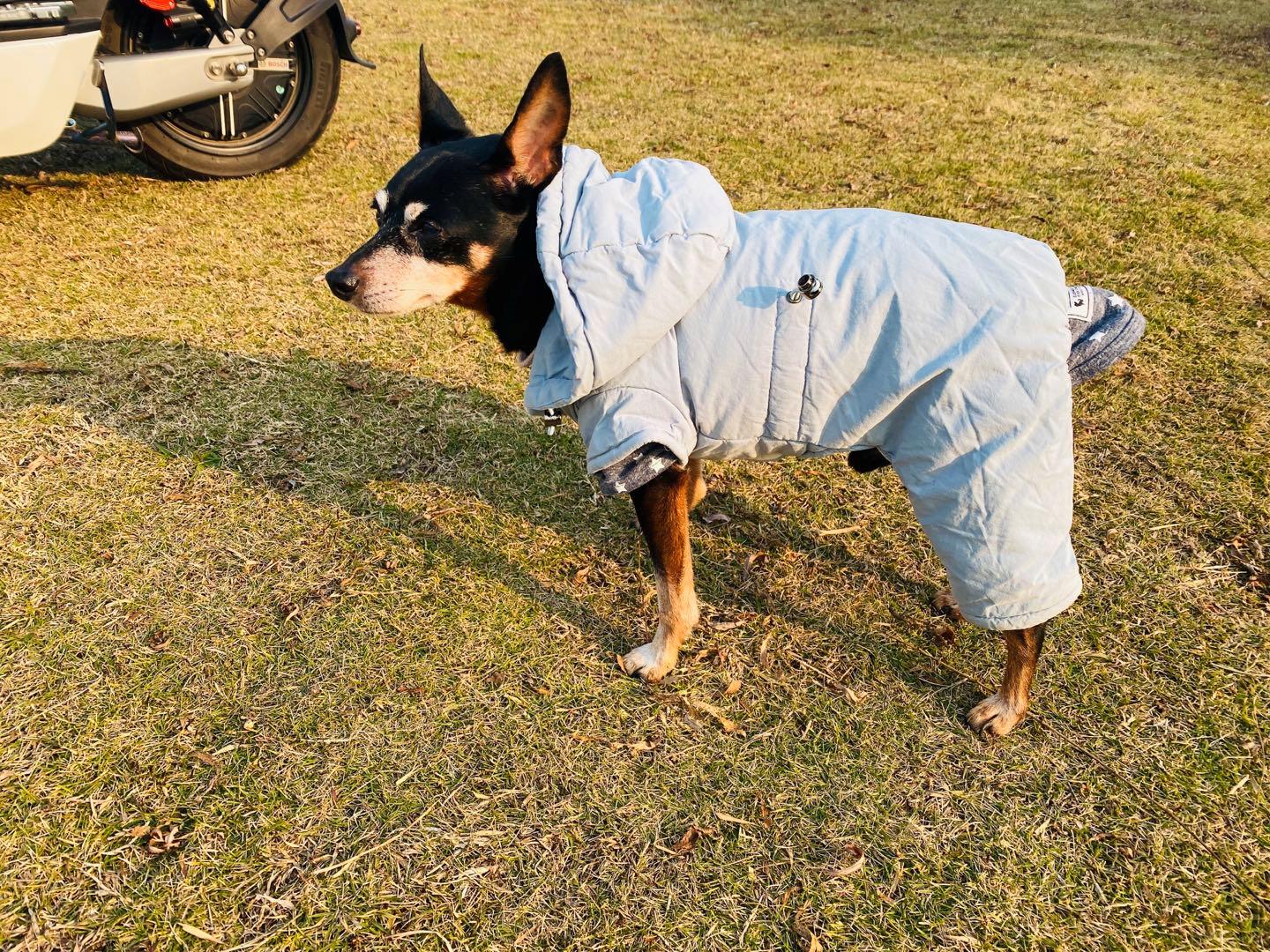 南京最适合夜晚的公园,南京周末户外打卡景点