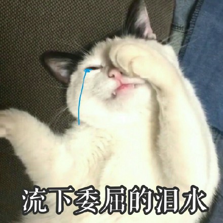 去不了奶茶主题公园？来吾煎道参加“网红生煎大*会集**”呀