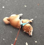 体寒痛经偏方,寒湿体质痛经怎么调理