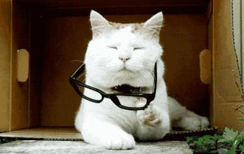 孩子摔跤是缺钙吗,儿童喜欢摔跤和少钙有关系吗