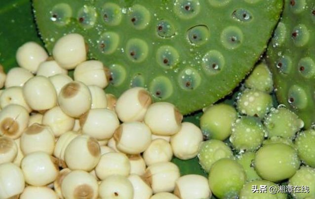 真实的湘潭现状,湘潭有哪些缺点