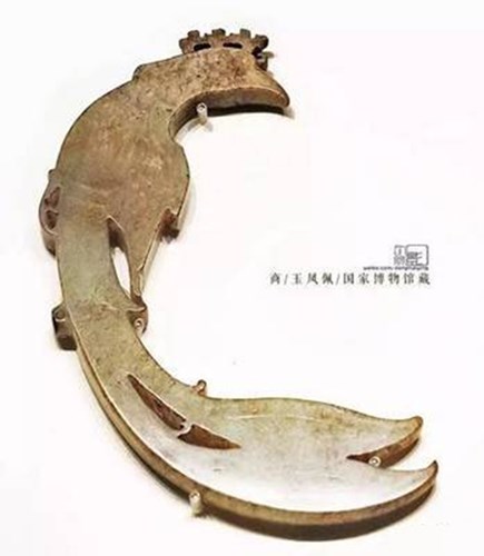 神鸟凤凰是什么来历,百鸟之王凤凰真实身份