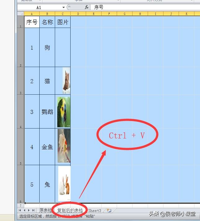 办公软件excel技巧如何制作表格,办公软件技巧excel图片打印