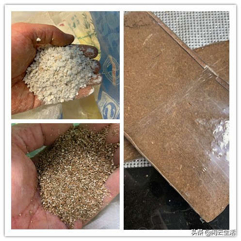 还在买几块钱包邮的营养土吗?快停止吧!——室内植物配土说明