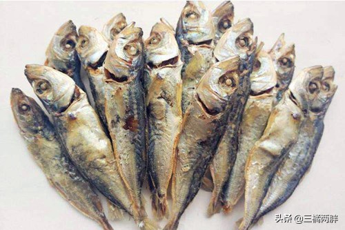 世界奇妙物语宠物猫,奇妙猫咪物语猫癣