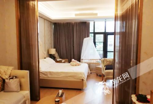 猪宝宝快出生,猪宝宝扎堆