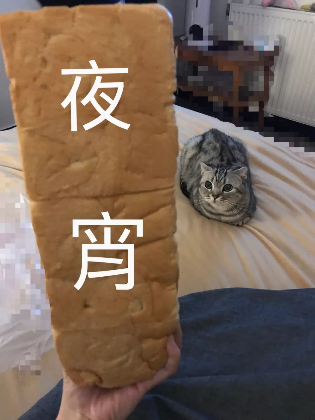 22款特斯拉model3试驾视频,特斯拉model3测评试驾