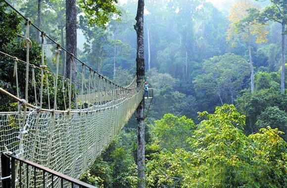 2018西双版纳旅游游记 (西双版纳小曼谷游记)