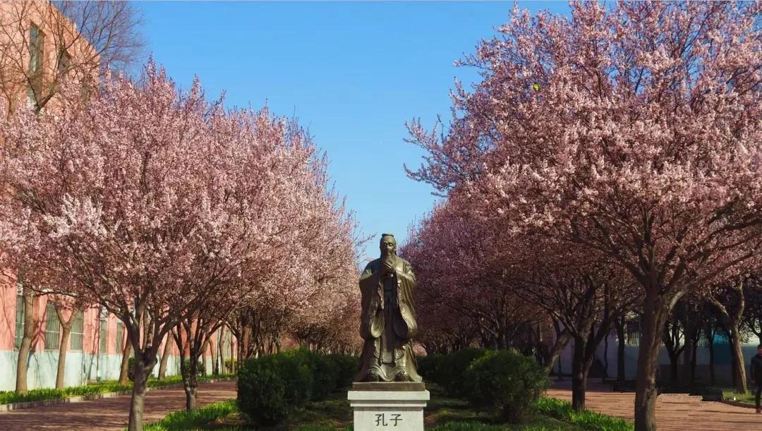 「豫•高考」依龙乡濮水，看腾跃凌云！这里是濮阳职业技术学院