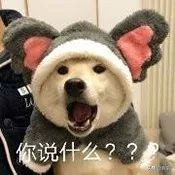 柳岩代言二裂酵母面膜,柳岩推荐的v脸面膜