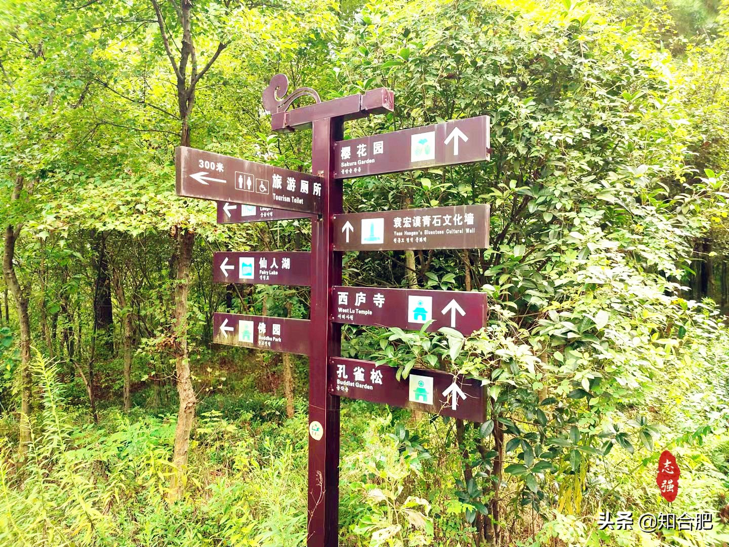 合肥秋季旅游攻略,国庆合肥市内游玩景点推荐