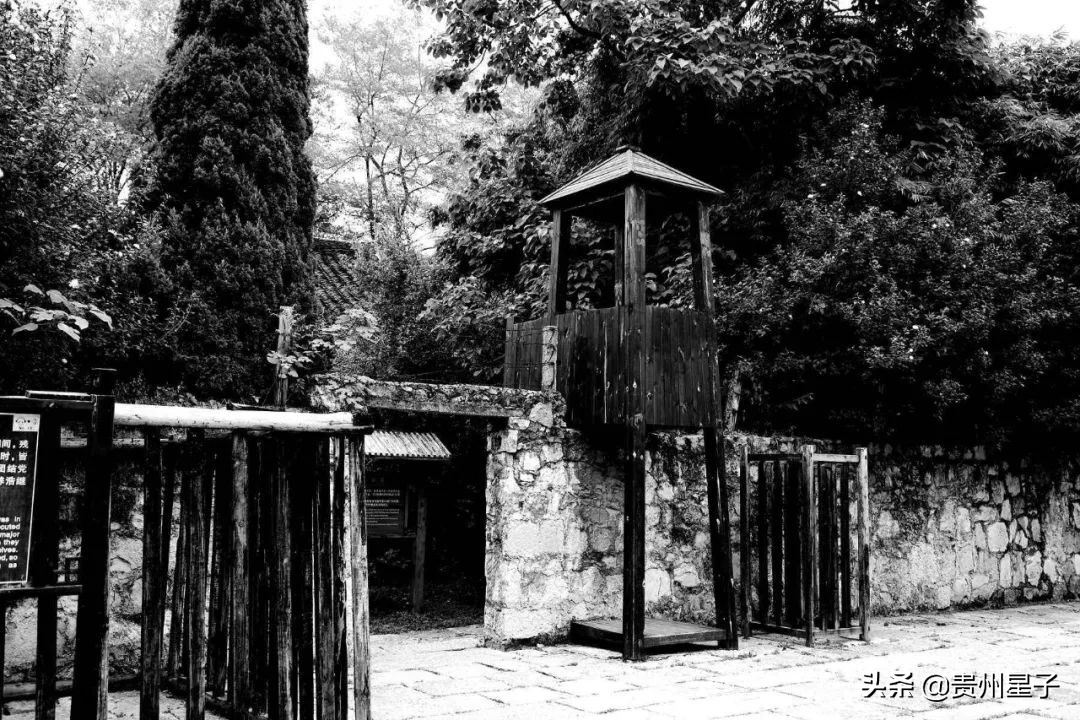 揭开神秘的面纱,揭开神秘的面纱寻找真相