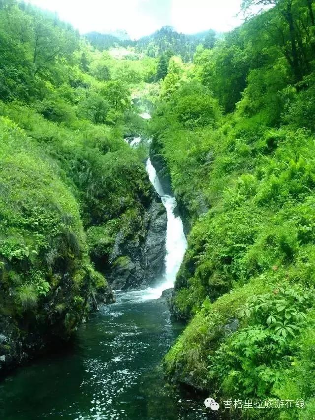香格里拉除了景点还有好玩的地方,丽江去香格里拉路途中有什么景点