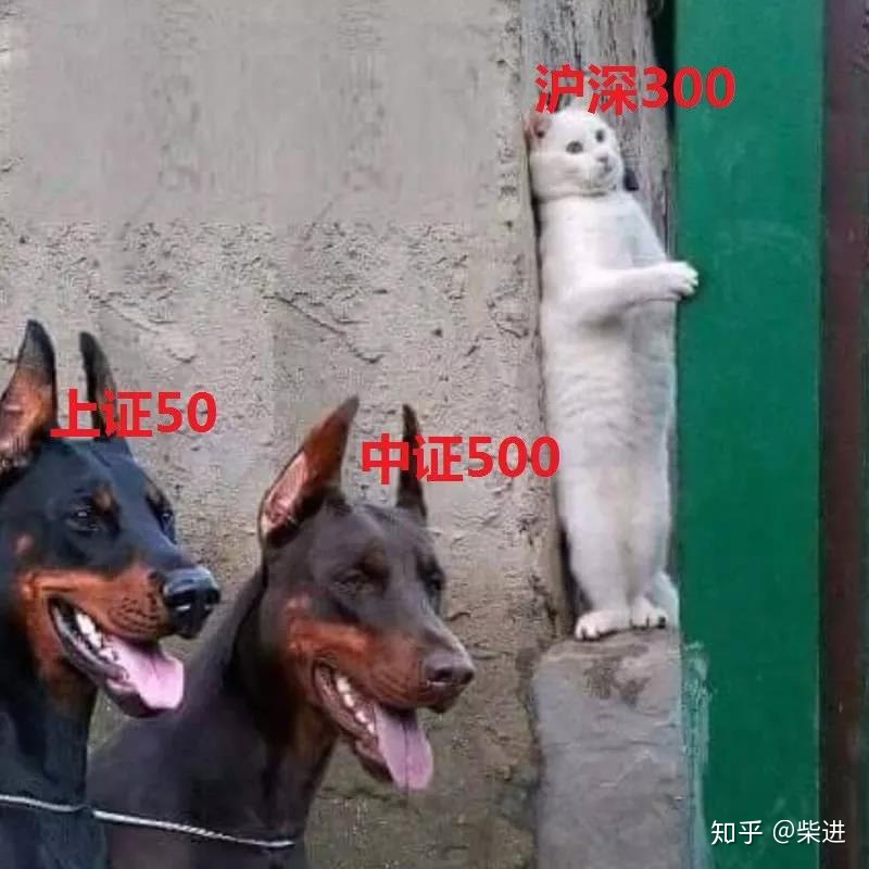 上证50沪深300中证500的区别,上证50沪深300和中证500选哪个好