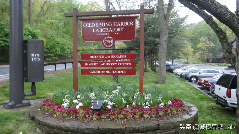 未来的产业园发展,未来科技产业园在哪个地方