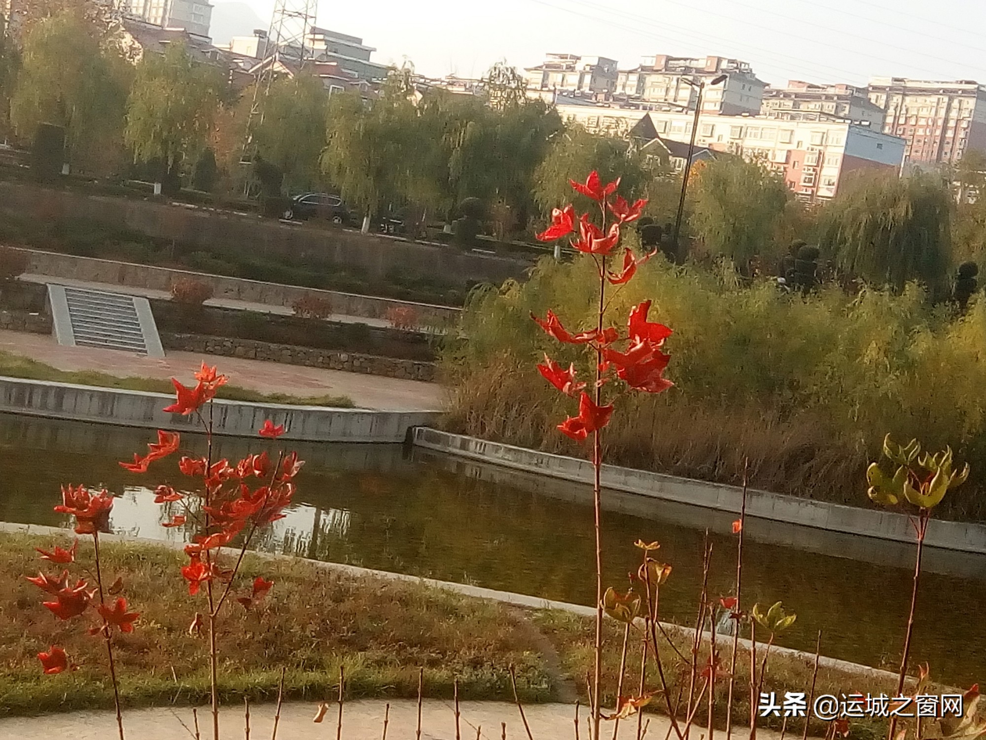 鍨ｆ洸榛勬渤鏂囧寲,鍨ｆ洸榛勬渤姘戞棌鏂囧寲