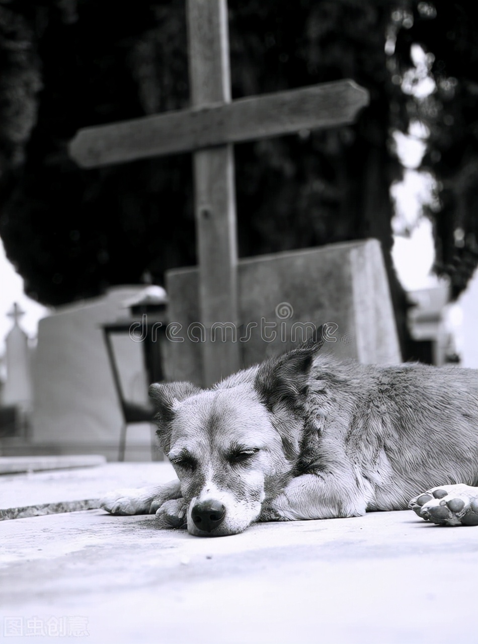 升官一定要学历吗,升官要高调
