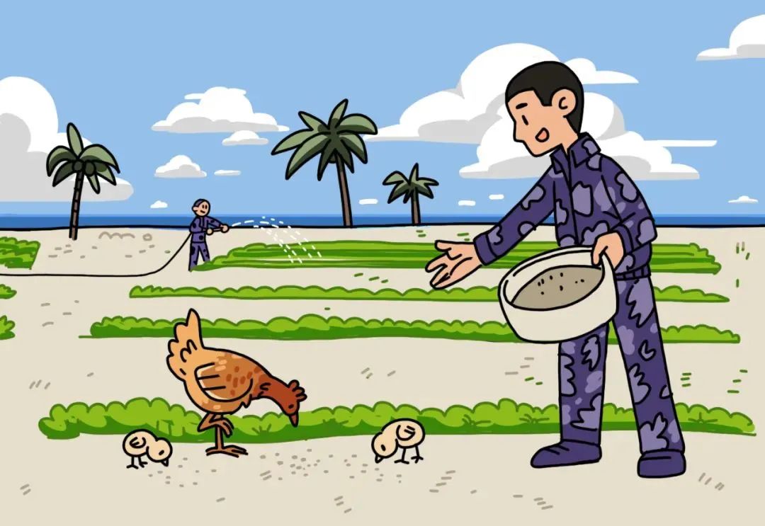 观往知来的含义,一封寄到西沙的信