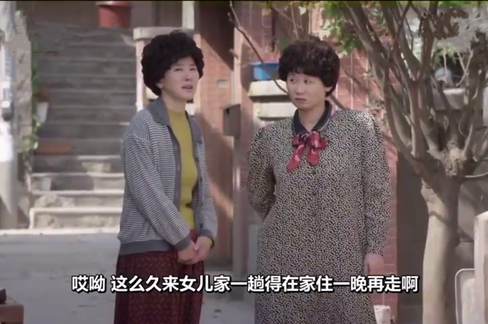 请回答1988豹子女士送钱,请回答1988成宝拉开车爸爸送钱