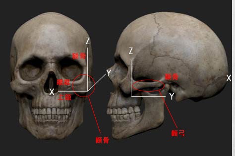 颧骨平和颧骨高哪个好看,颧骨塑造