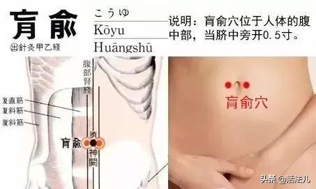 明日入伏收好这份三伏天养生指南,初伏中伏末伏哪一伏更适合养生