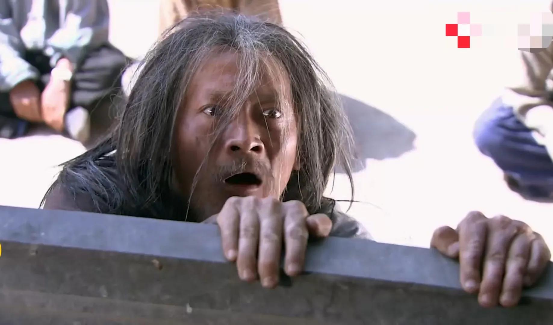 铁梨花张雅琴演讲,铁梨花张雅琴是谁