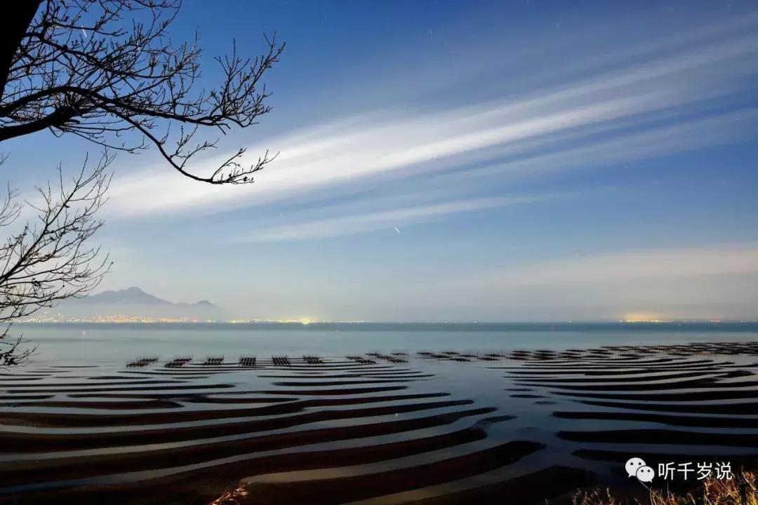 日本东京熊本熊,日本熊本游