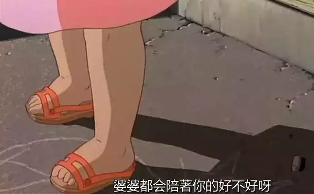 龙猫最久能活多久,龙猫30秒