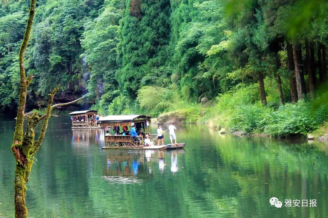 来雅安旅游,雅安二郎山休闲特色民宿